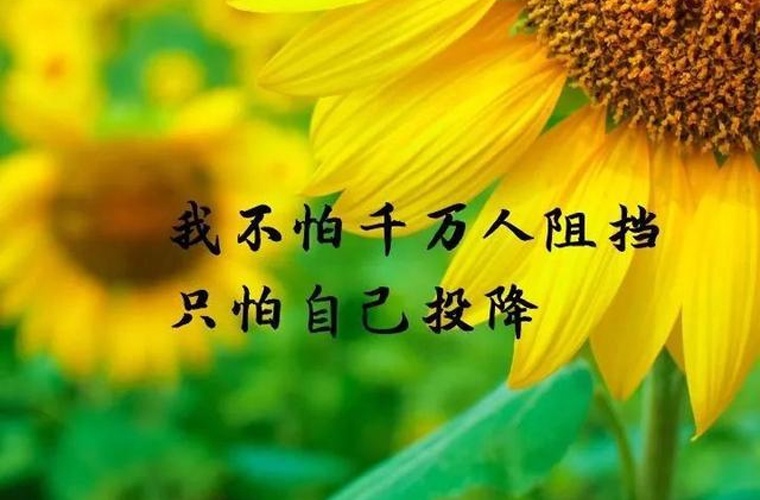 贵阳怎么报名分类招生