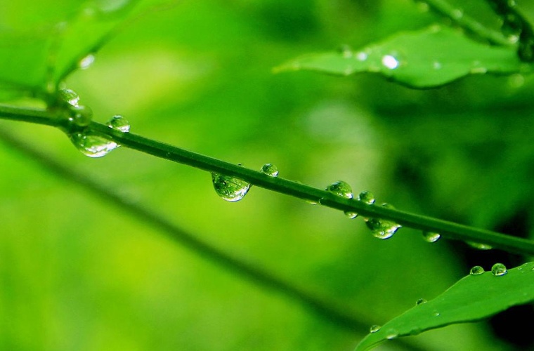 遵义高职分类招生怎么样
